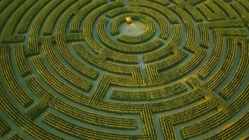 Học tập trong mê cung của nền giáo dục