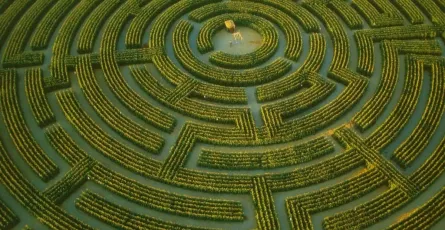 Học tập trong mê cung của nền giáo dục