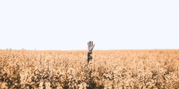 Nhận diện hai rào cản của bạn