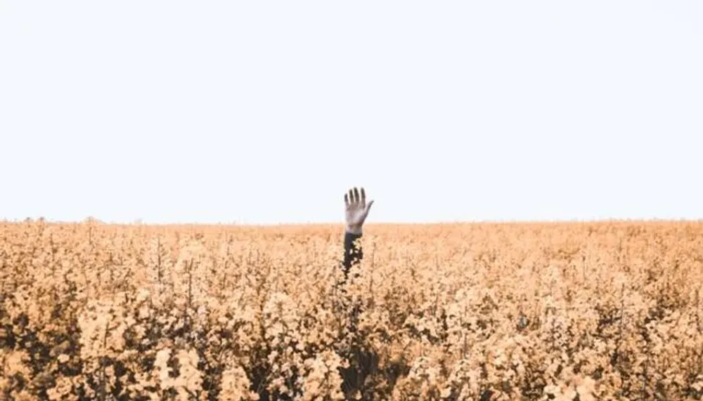 Nhận diện hai rào cản của bạn