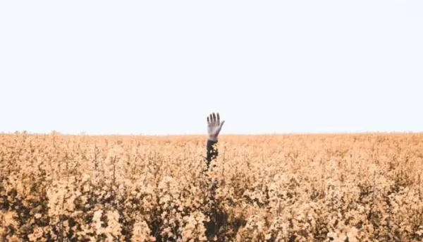 Nhận diện hai rào cản của bạn