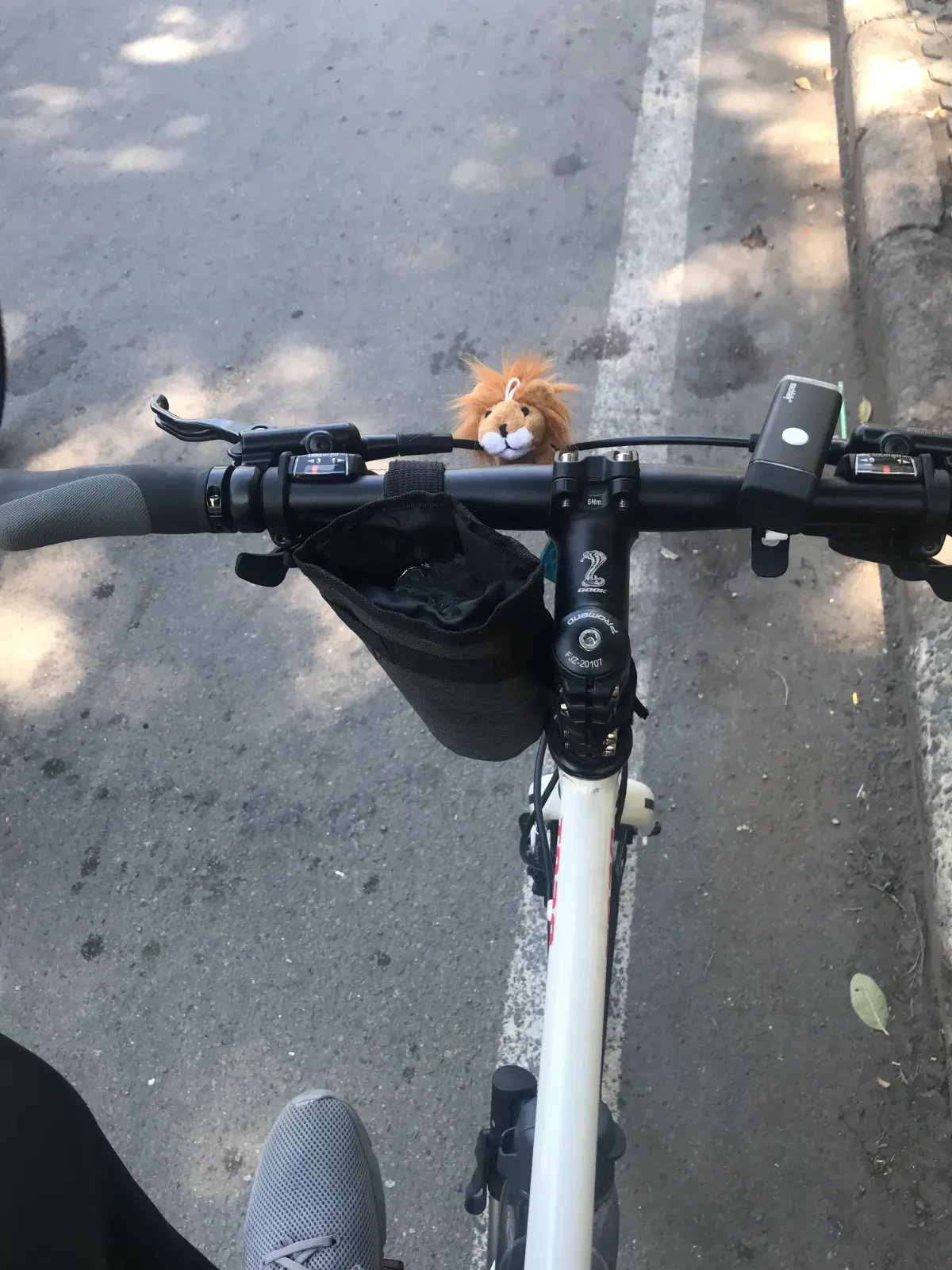 Chiếc xe đạp + em Sư Tử