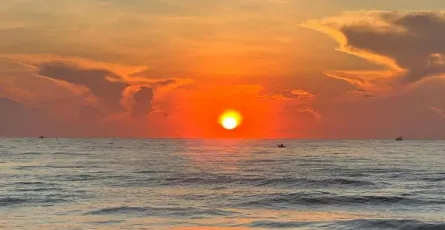 Phản tư về chữ "Thân" và "Yêu"