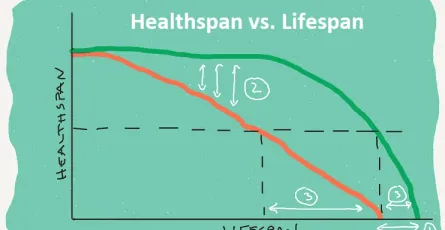 Healthspan - Thời gian của tuổi già mà vẫn có một sức khoẻ tốt