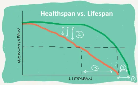 Healthspan - Thời gian của tuổi già mà vẫn có một sức khoẻ tốt