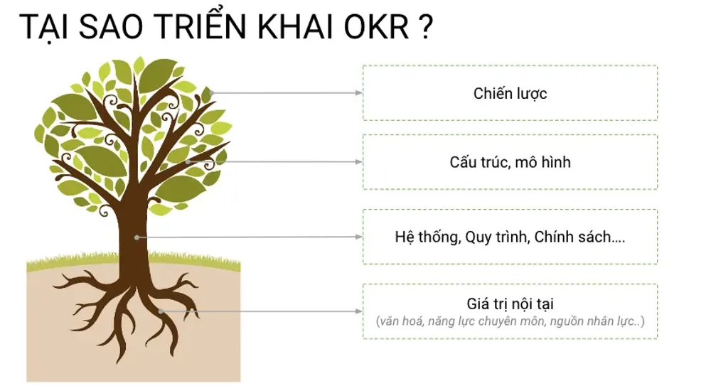 OKR - Tại sao lại triển khai cho tổ chức?
